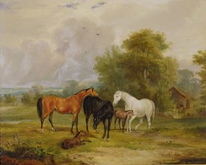 Caballos Pastando: Yeguas y Potros en un Campo