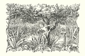 Merrie England: Robin Goodfellow (litografía) de Francis Donkin Bedford