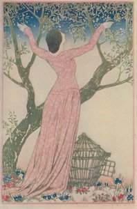 La Liberación, 1919