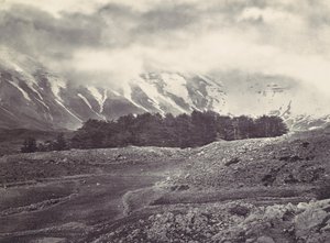 Vista distante de los cedros del Líbano, ca. 1857 de Francis Frith