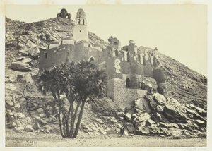 Palmera Doum y Mezquita en Ruinas, Filé