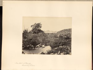 Fuente de Jericó, curada por Eliseo de Francis Frith