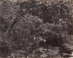 Valle en Lynmouth, 1860s