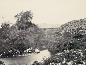 La fuente de Jericó y probable sitio de la ciudad, ca. 1857 de Francis Frith