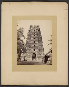 Trickaleecoondrum, La Pagoda, Porte E