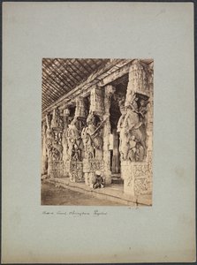 Corte de Caballos de Trichinopoly de Francis Frith and Co.
