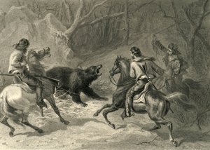 Californianos nativos lazando un oso de Francis Holl