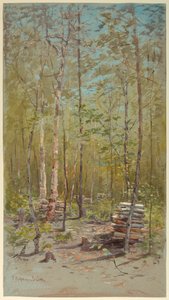 Árboles de abedul de Francis Hopkinson Smith