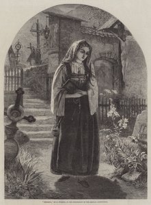 Teresina de Francis John Wyburd