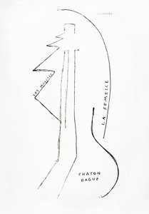 Poemes et Dessins de la Fille nee sans Mere, nº 23, publicado por Imprimeries Reunies, Lausana. de Francis Picabia
