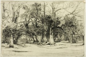 Un camino secundario en Tipperary de Francis Seymour Haden