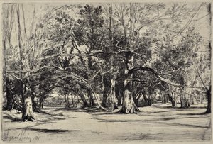 Un camino secundario en Tipperary de Francis Seymour Haden