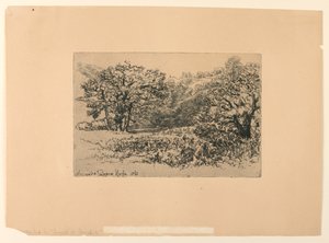 Un Lado del Río Devon de Francis Seymour Haden