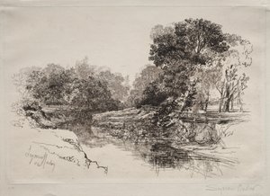Un río en Irlanda de Francis Seymour Haden