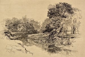 Un río en Irlanda de Francis Seymour Haden