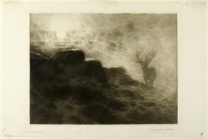 Un madrugador de Francis Seymour Haden