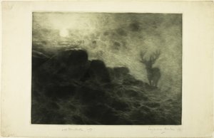 Un madrugador de Francis Seymour Haden