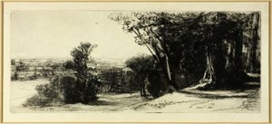 Temprano en la mañana, Parque Richmond de Francis Seymour Haden