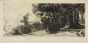Temprano en la mañana, Parque Richmond de Francis Seymour Haden