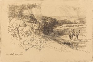 Bosques de Encombe (No.1) de Francis Seymour Haden