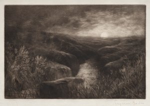 Refugio del mosquito de Francis Seymour Haden