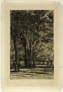 Jardines de Kensington, No. II (placa grande) de Francis Seymour Haden