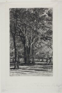Jardines de Kensington, nº II (placa grande) de Francis Seymour Haden