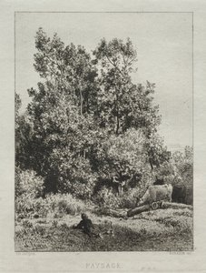 Paisaje de Francis Seymour Haden