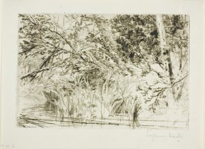 Boca de un arroyo, No. II de Francis Seymour Haden