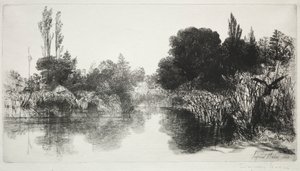 Shere Mill Pond, No. 11 (The Large Plate) de Francis Seymour Haden