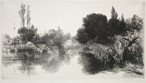 Shere Mill Pond, No. 11 La Gran Placa, 1860 y posteriores de Francis Seymour Haden