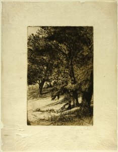 Sub Tegmine... de Francis Seymour Haden