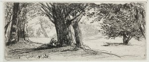 El Campo de Acebos de Francis Seymour Haden
