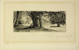 Los campos de acebo de Francis Seymour Haden