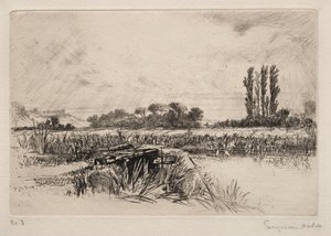Pradera de agua de Francis Seymour Haden