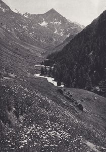 Alpes Orientales: En el Tal Windach (foto en blanco y negro)