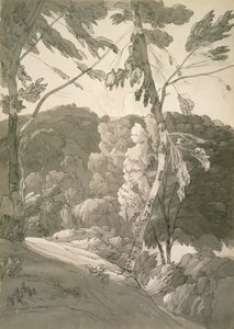 Paisaje boscoso No.1091 (Una escena en Indinowle)