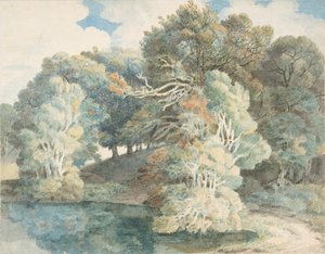 Árboles junto al lago, Peamore Park, cerca de Exeter, Devon de Francis Towne