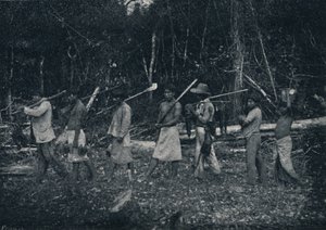 Indios Guaraníes, volviendo de una caza, 1895