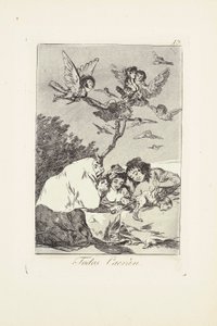 Todos Caerán, Placa 19 de: Los Caprichos de Francisco Jose de Goya y Lucientes