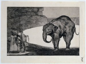 Disparate de bestia, auch: Proverbio adicional: Otras leyes por el pueblo de Francisco Jose de Goya y Lucientes