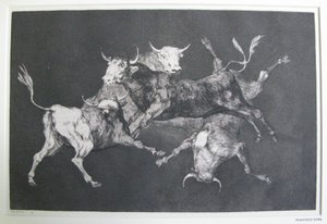 Disparate de tontos de Francisco Jose de Goya y Lucientes