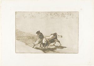 El muy hábil estudiante de Falces, envuelto en su capa, engaña al toro con el juego de su cuerpo, placa 14 de El arte de la tauromaquia de Francisco Jose de Goya y Lucientes