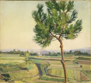 El arbolito (Mera)
