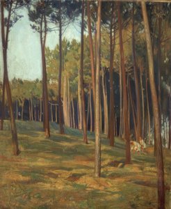 El pinar rojo de Francisco Llorens Diaz