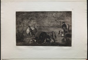 Corridas de toros: El perro suelto al toro