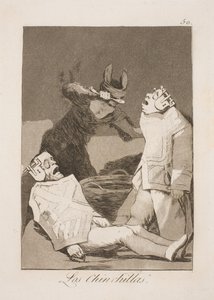 Ratas chinchilla de Francisco de Goya