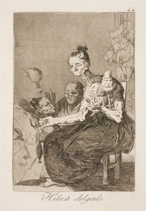 De spinder smukt de Francisco de Goya