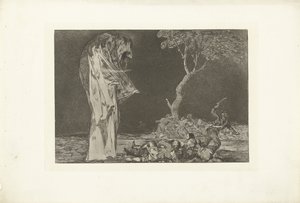 Locura del miedo Disparates de miedo Los Disparates (Las locuras) (título de la serie) Los Proverbios (Los Proverbios) (título de la serie) de Francisco de Goya