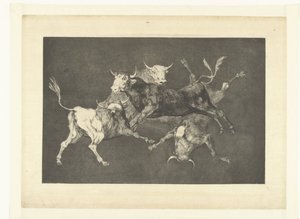 La locura de los toritos Disparate de tontos Los Disparates (Las locuras) (título de la serie) Los Proverbios (Los Proverbios) (título de la serie)